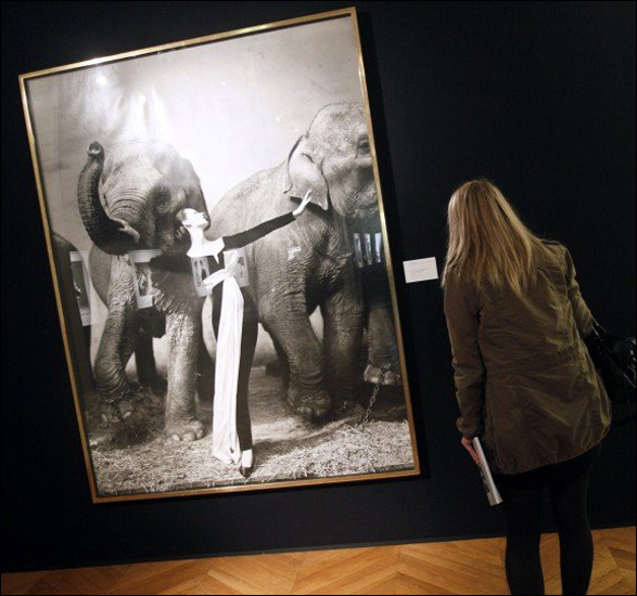 Christian Dior Wins Bid & Buys Avedon's Dovima With Elephants Photo | TwistedLifestyle.com