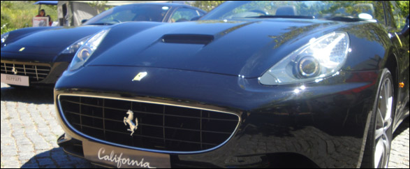 Franschhoek Motor Museum Concours